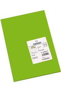 CARTULINA CANSON IRIS A4 185GR VERDE BILLAR C/50 UD.