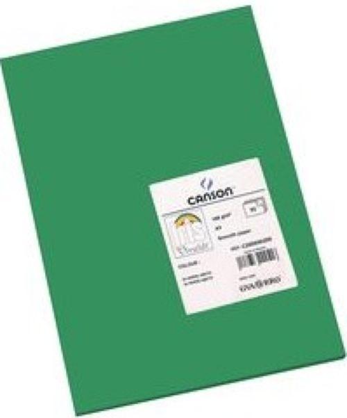 CARTULINA CANSON IRIS 50X65 VERDE ABETO 185GR C/25H.