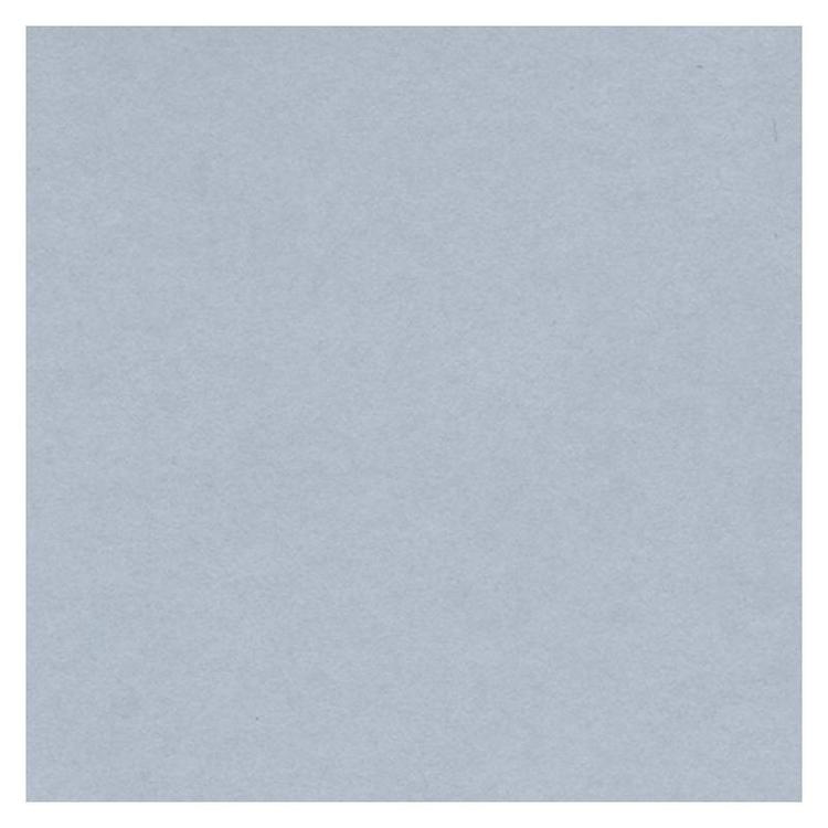 CARTULINA 50X65 180GR GRIS P/25H.