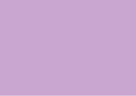 CARTULINA 50X65 180GR LILA P/25 UD. FABRISA