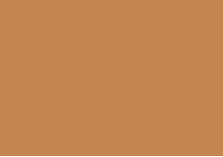 CARTULINA A4 180GR 50H MARRON CLARO
