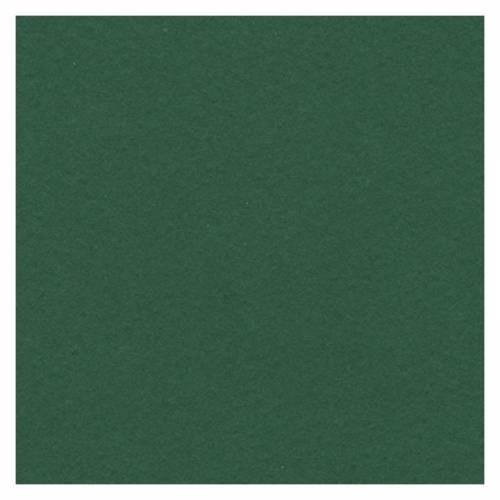 CARTULINA CANSON 50X65 IRIS 185GR VERDE AMAZONAS C/25H.