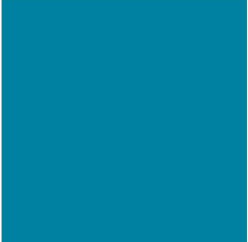 CARTULINA CANSON IRIS 50X65 AZUL CARIBE 185GR C/25H.