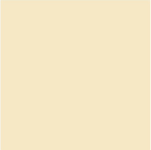 CARTULINA CANSON IRIS 50X65 CASCARA DE HUEVO 185GR C/25H.