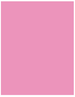 CARTULINA CANSON IRIS 50X65 ROSA CHICLE 185GR C/25H.