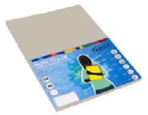 PAPEL A4 100H 80G GRIS FABRISA