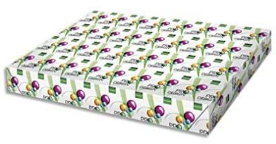 PAPEL FOTOCOPIADORA SR3 A3 350GR 100H PRO-DESIGN