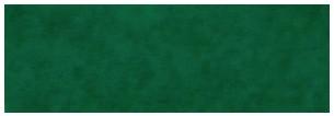 PAPEL SEDA VERDE OSCURO (MUSGO) 50X76 P/25 HOJAS