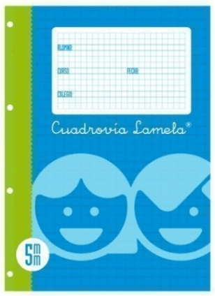 RECAMBIO LAMELA Fº 5X5 MM P/100H