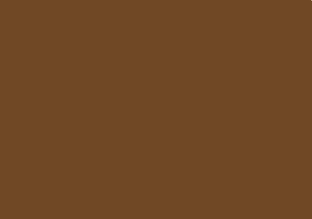 CARTULINA 50X65 180GR MARRON FABRISA P/25 H.